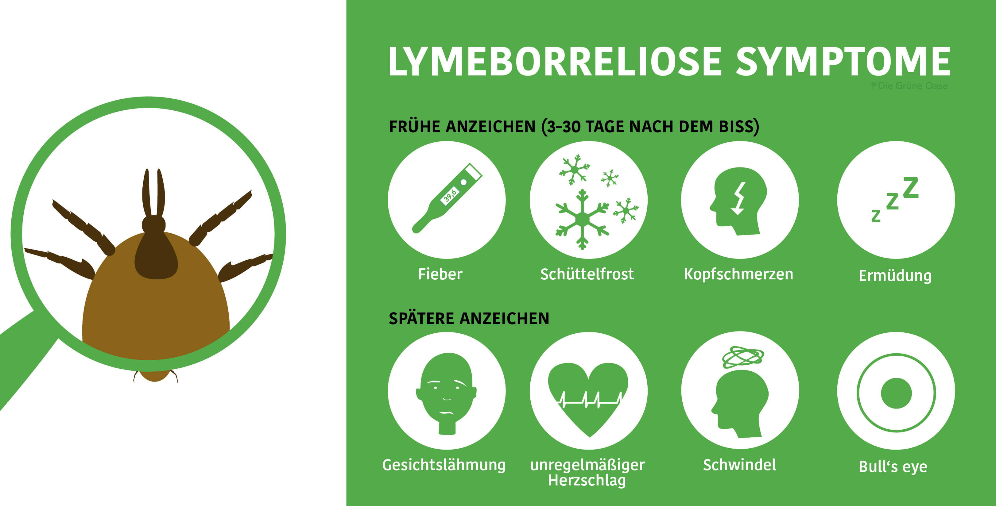 CBD bei Borreliose? (2020)